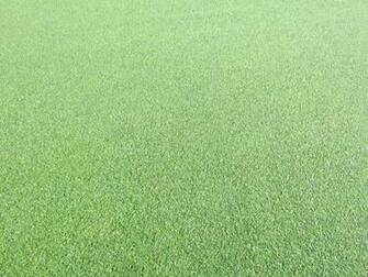 Businessinsider Au Augusta Fairway Looks Like Carpet Photo