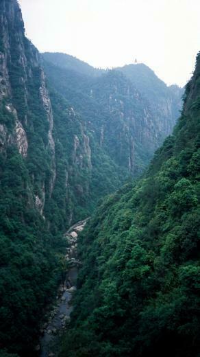 iPhone HD Nature Mountain Forest Wallpaper