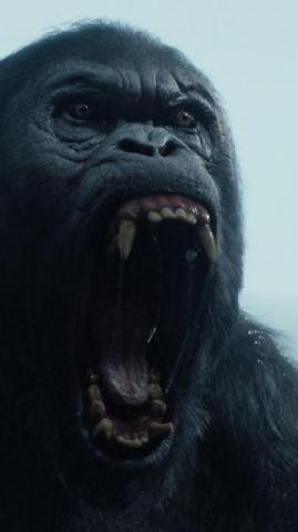 Legend Of Tarzan Akut Wallpaper Teahub Io