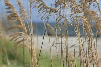 Tybee Island Ga Travel