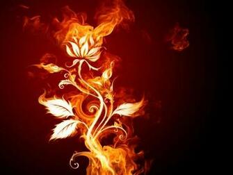 Fire Rose Wallpaper On My Desktop