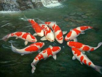 Koi Fish HD Desktop Wallpaper