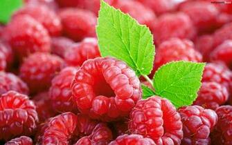 Raspberries Wallpaper 4k Px Wallpaperexpert