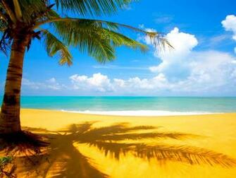 Nature Wallpaper