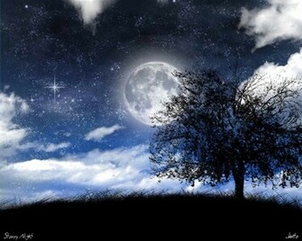 HD Wallpaper Starry Night