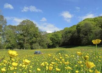 English Countryside