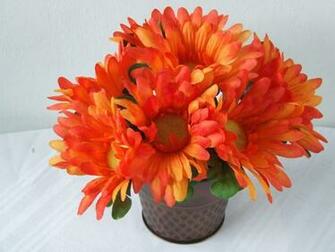 Orange Gerbera Daisy Flowers Wallpaper Orangegerbera