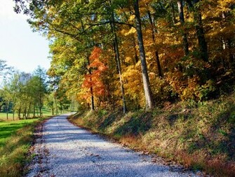 Autumn Scene Wallpaper