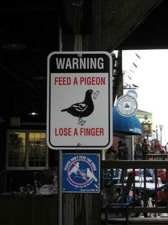 Funny Collection World Find The Best Funniest All