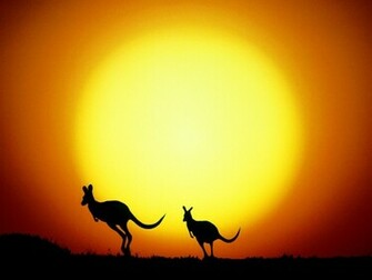 Kangaroo Wallpaper Christian And Background