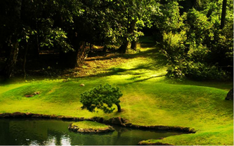 Wallpaper Background S Natural