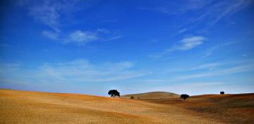 Wallpaper Blue Trees Light Music Love Portugal Field