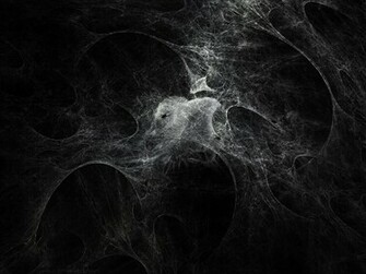 File Spiderweb Background Jpg Primus Database