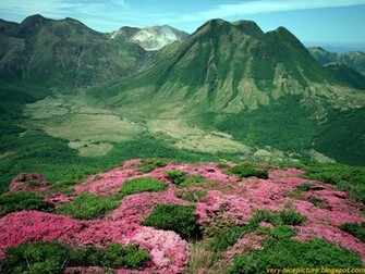 Wallpaper Nice Beautiful