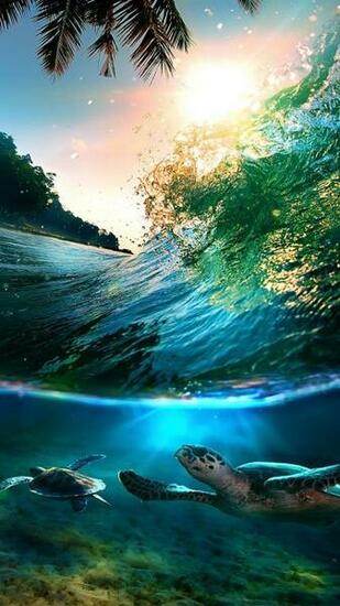 Best Ideas About HD Wallpaper iPhone