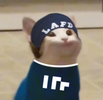 Quackity Popcat Pop Cat Cute Memes Hot Mexican Men