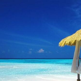 Home Wallpaper Hot Categories