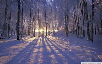 Winter Wallpaper Desktop Cool