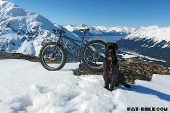 Fat Bike Wallpaper Ak Dog