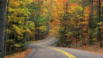 Background Road Autumn Cool Colors