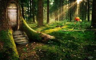 Forest 3d Wallpaper HD Moshlab