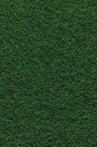 Green Texture Pictures Image