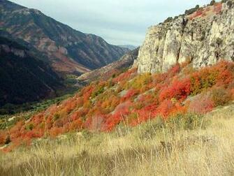 How S The Autumn In Utah Wallpaper Premium