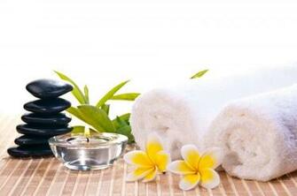 Relax Spa Three Oaks And An Aloe