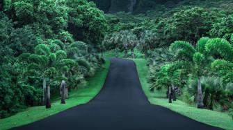 Green Road Nature 4k Laptop HD Wallpaper Image