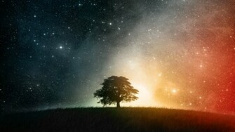 Fonds D Cran Cosmos Tous Les Wallpaper