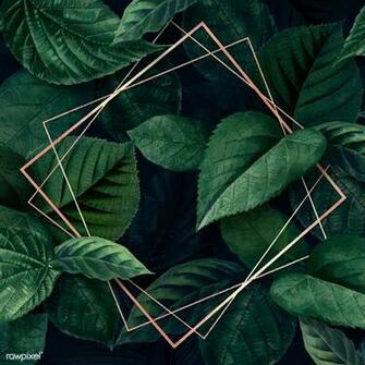 Rhombus Frame On A Leafy Background Vector Premium Image By