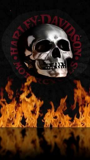 Harley Davidson Skull Wallpaper HD Live