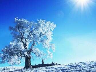 Winter Tree Wallpaper
