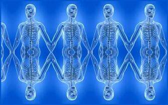 Human Anatomy Wallpaper Image Pictures Becuo