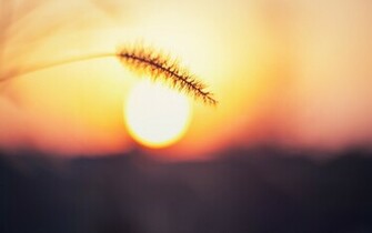 Awesome Sun Wallpaper By Kyle Rooney
