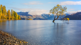 Lake Wanaka Pling