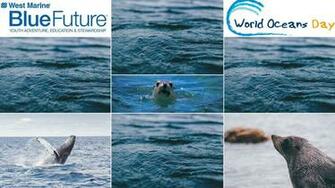 World Oceans Day Art Contest Presented By West Marine S Bluefuture