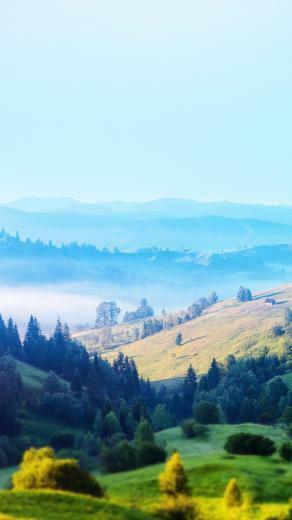 Plane Field Landscape iPhone 5s Wallpaper