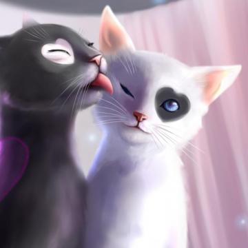 Best Romantic iPad Air HD Wallpaper