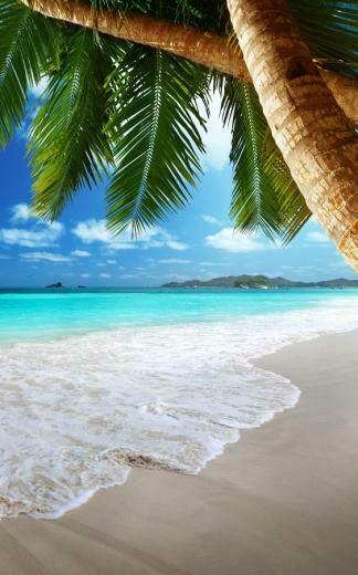 Tropical Beach Live Wallpaper Android Apps On Google Play
