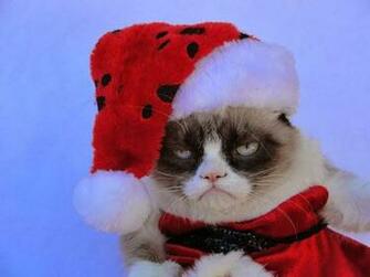 Top HD Wallpaper Grumpy Cat Christmas