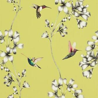 Shop Amazilia Pink Annandale Wallpaper