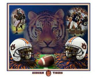Auburn Graphics Code Comments Pictures