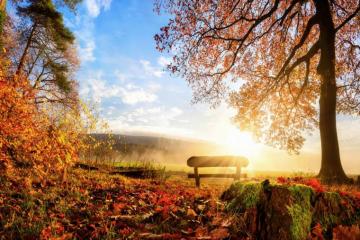 Livingwalls Photo Wallpaper Autumn Morning