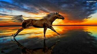 Source Url Tapeta Slonca Kon Galop Zachod Na Pulpit