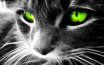 To Wallpaper Just Right Click On Pictures And Select Save
