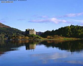 Scottish Castle Nature