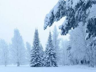 Snow Fall Live Wallpaper Android Apps On Google Play