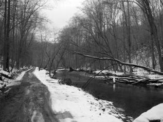 Winter Streams Fishing HD Wallpaper Background