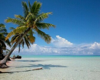 Beach Wallpaper Background Theme Desktop